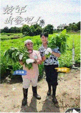 富阳横店影视城江南水巷摇橹船